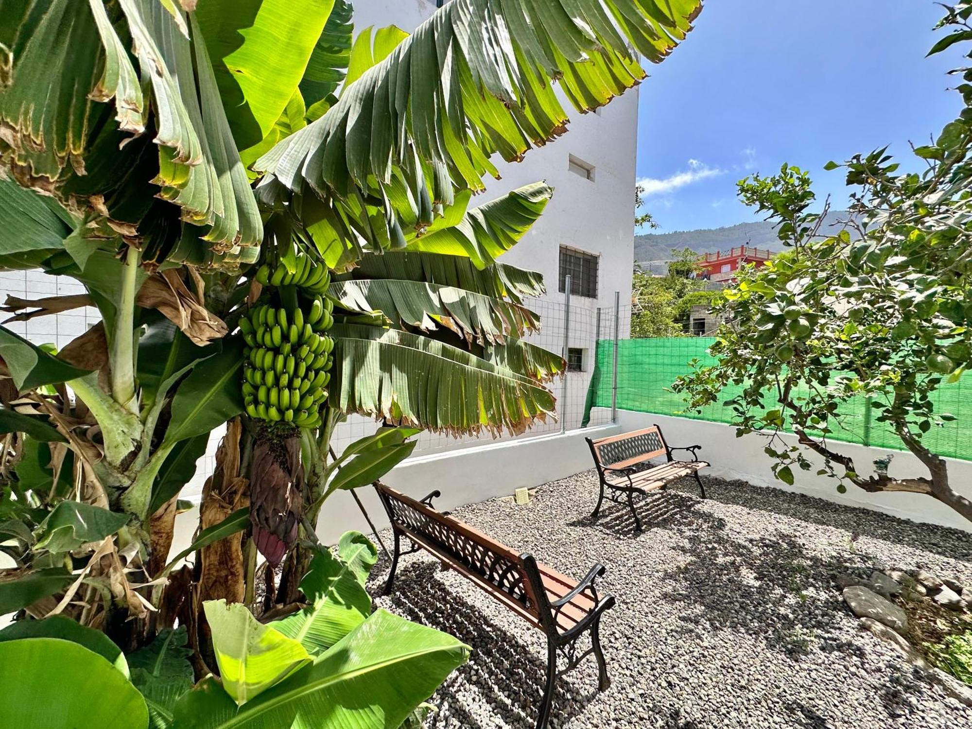 Casa vacanze Casa Tina Güimar